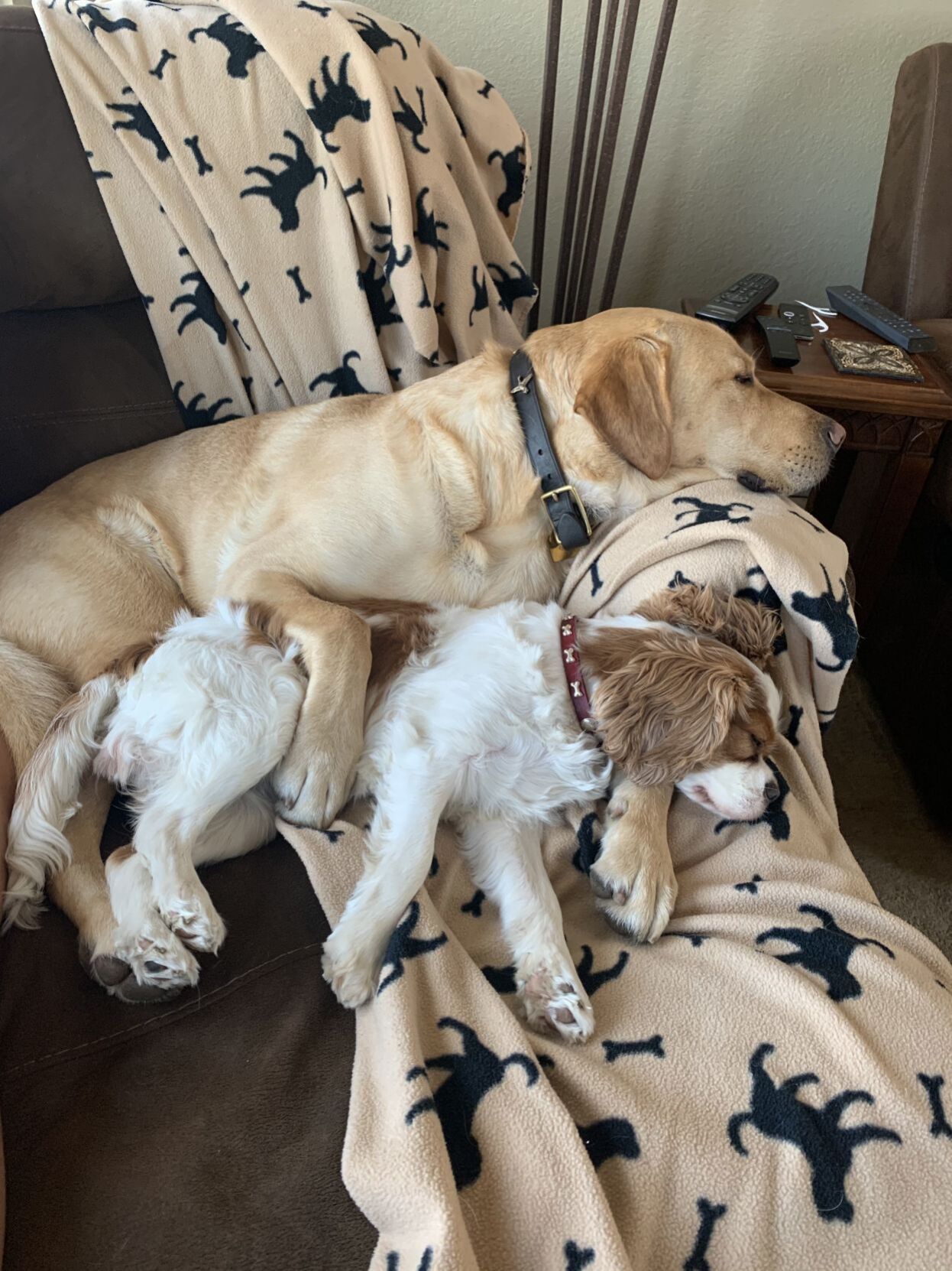 Max & Katie